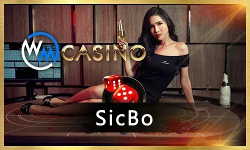 Gaming License Icon